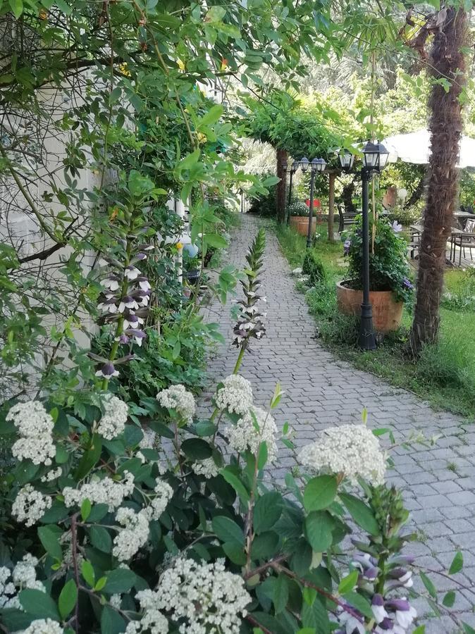 La Mirabelle-Casteil Country House Guest House Exterior photo